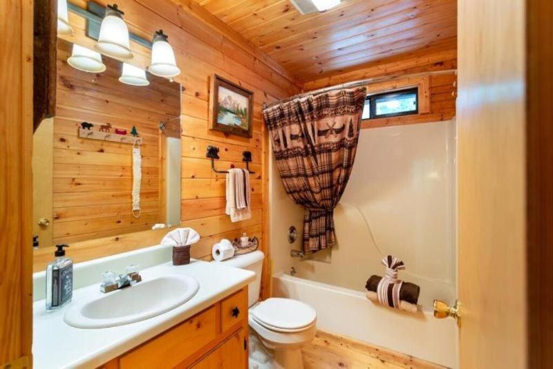 Вілла Mountain Spirit Cabin - Fireplace And Hot Tub Блу-Ридж Екстер'єр фото